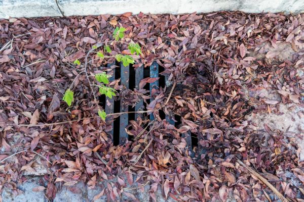 Yard Drain Unclogging in Rockwall