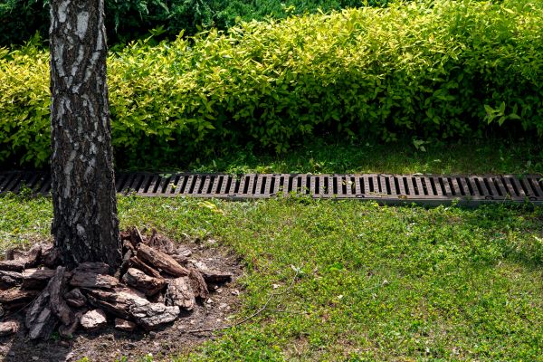 Wet Yard Drainage in Rockwall