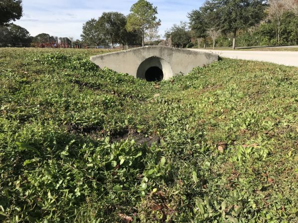 Cost of Swale Drainage Service in Rockwall