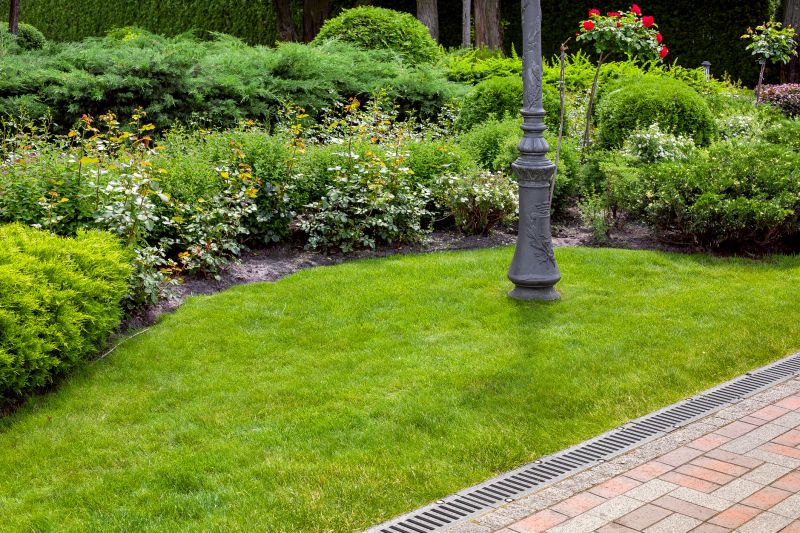 Landscaping and Drainage Experts