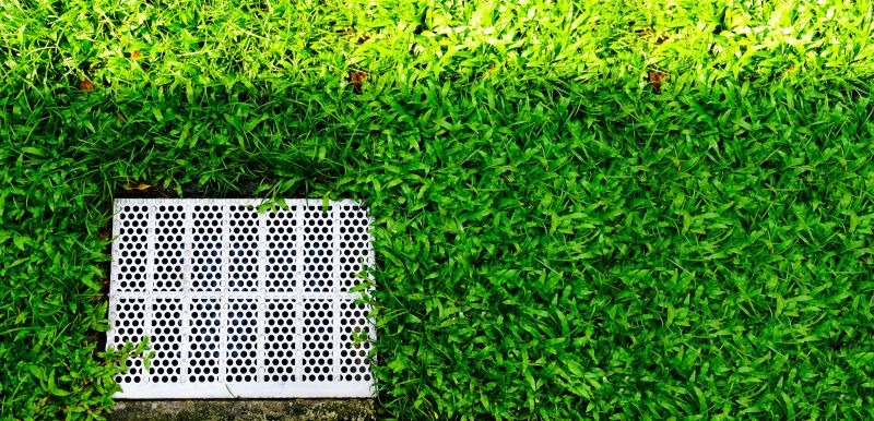 Yard Drainage Improvement